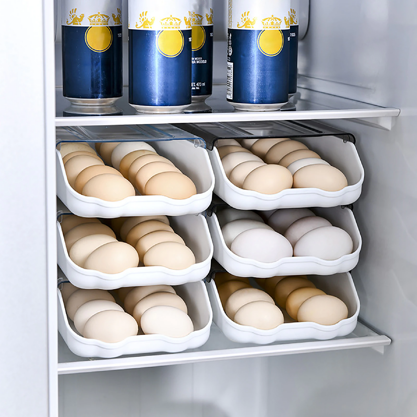 Organizador de Huevos para Nevera (Huevera)
